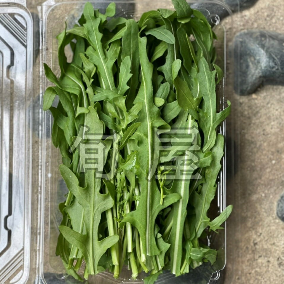 ロケットセルバチコ 1PAC （約50g）　【久保田農園　福岡産　あしらい　飾り　珍しい野菜　野菜　ハーブ】 haconnect-10000295 新鮮野菜とフルーツのお店 旬屋 サンプル画像2