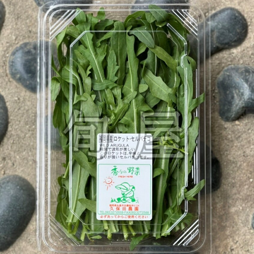 �����åȥ���Х��� 1PAC ����50g�ˡ��ڵ��������ࡡʡ�����������餤�����ꡡ��������ڡ���ڡ��ϡ��֡�