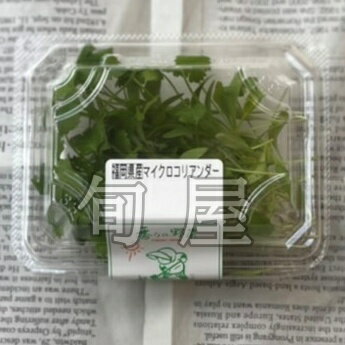 �ޥ��������ꥢ�������1PAC����15g�ڵ��������ࡡʡ���������ѥ����������ꥢ���������ڡ���������ڡ�