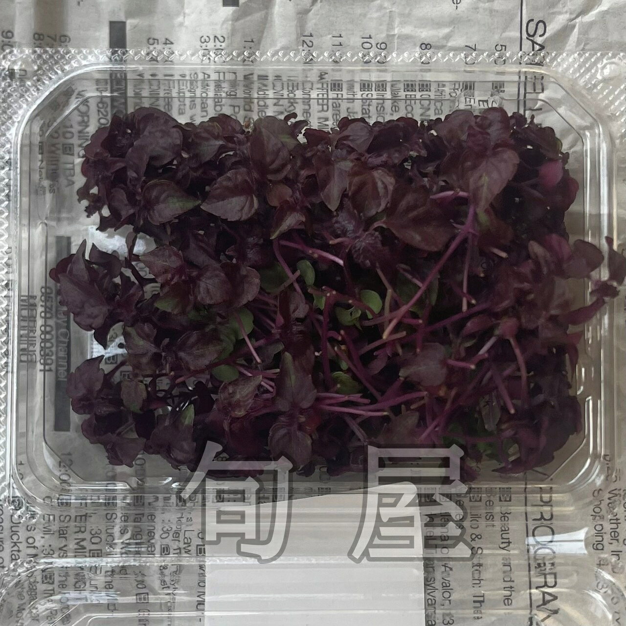 新鮮野菜とフルーツのお店 旬屋のマイクロ赤紫蘇　1PAC　約15g【久保田農園　福岡産　あしらい　彩　料理　アクセント　おしゃれ】※※※入荷がない、もしくは入荷数が少ない場合がございます。その場合は、ご希望により代用商品「紫蘇パープル（村上農園）」でのお届けも可能です※※※｜アングル2