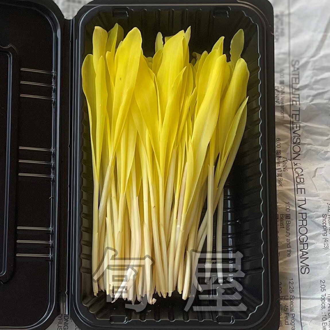 コーンスプラウト 1PAC（約15g）【福岡県産　久保田農園　野菜　ハーブ　珍しい野菜　あしらい】 haconnect-10000304 新鮮野菜とフルーツのお店 旬屋 サンプル画像3