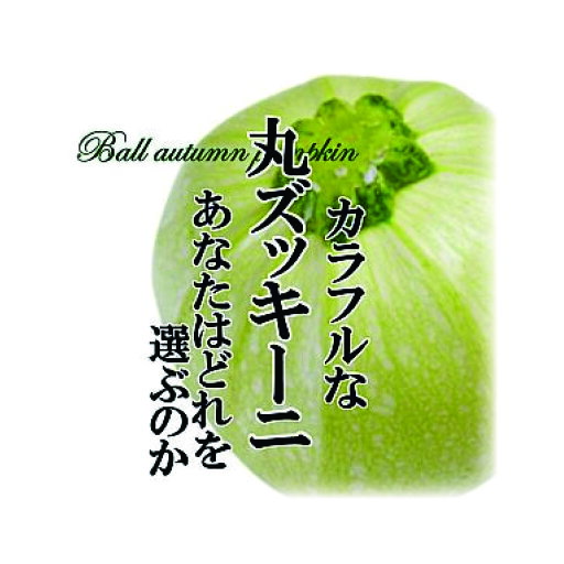 【初夏入荷予定】丸ズッキーニ 1個【サラダ/インスタ映え/お取り寄せ/単品/野菜/カラフル/新鮮/おしゃれ/めずらしい】 【初夏入荷予定】丸ズッキーニ 1個【サラダ/インスタ映え/お取り寄せ/単品/野菜/カラフル/新鮮/おしゃれ/めずらしい】