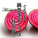 【送料無料】渦巻きビーツ 約1kg【うずまきビーツ 渦まき お取り寄せ 単品 野菜 カラフル 新鮮 旬 おしゃれ 珍しい野菜 変わった野菜 インスタ映え 綺麗 彩 あしらい 飾り アクセント】
