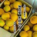 【送料無料】無農薬 木頭ゆず 約1〜4kg【木頭柚子 ユズ 希少 珍しい野菜 変わった野菜 あしらい ...