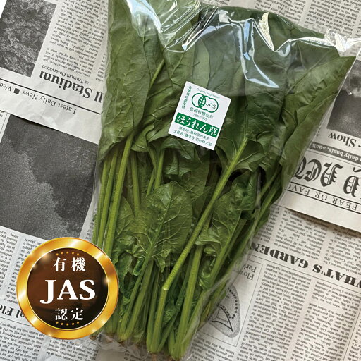 有機JAS認定 ほうれん草 1パック【ほうれんそう ホウレンソウ 法蓮草 国産 有機栽培 生 オーガニック 安心 安全】 有機JAS認定 ほうれん草 1パック【ほうれんそう ホウレンソウ 法蓮草 国産 有機栽培 生 オーガニック 安心 安全】