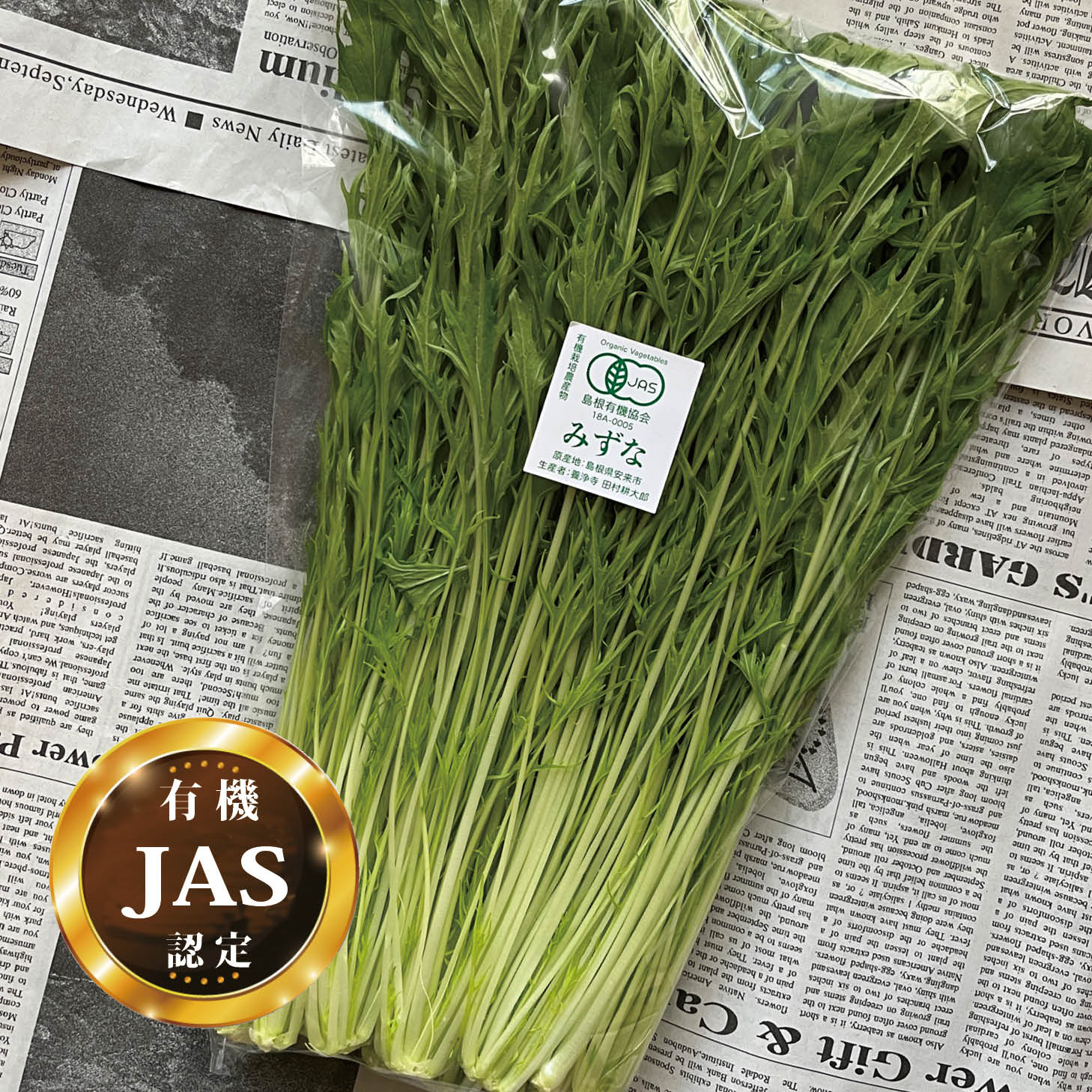 有機JAS認定 水菜 1パック【みずな ミズナ 国産 有機栽培 生 オーガニック 安心 安全 サラダ】 安心・安全のJAS認定　こだわりの有機野菜です 2