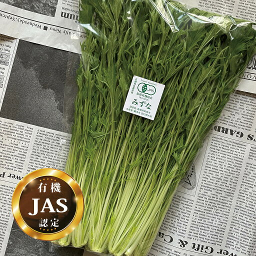 有機JAS認定 水菜 1パック【みずな ミズナ 国産 有機栽培 生 オーガニック 安心 安全 サラダ】 有機JAS認定 水菜 1パック【みずな ミズナ 国産 有機栽培 生 オーガニック 安心 安全 サラダ】