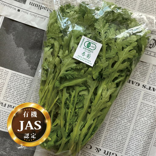 有機JAS認定 春菊 1パック【菊菜 キクナ 国産 島根県産 有機栽培 生 オーガニック 安心 安全 サラダ】 有機JAS認定 春菊 1パック【菊菜 キクナ 国産 島根県産 有機栽培 生 オーガニック 安心 安全 サラダ】