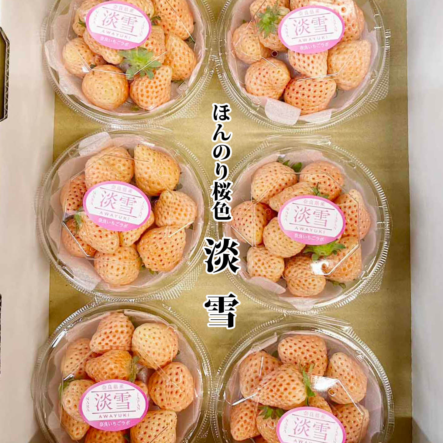 いちご 【送料無料】奈良県産 ブランドいちご 淡雪 1ケース（6パック入）【イチゴ 苺 奈良いちごラボ お土産 贈り物 贈答品 ご褒美 ごほうび プレゼント ギフト 手土産 高級フルーツ 果物 インスタ映え かわいい 】