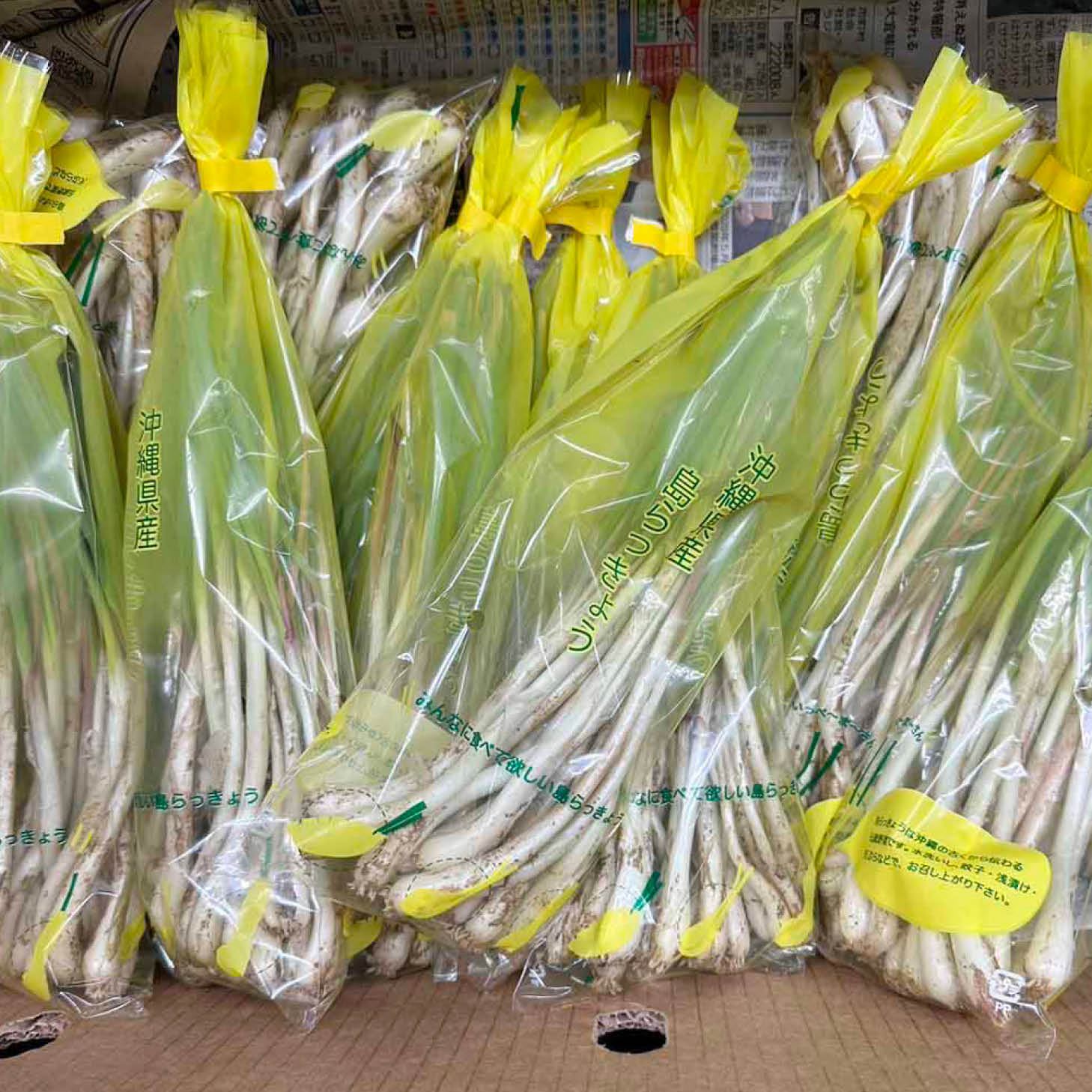 ���ä��礦 1�ѥå��ڲ��컺 ���ޤ�ä��礦 ������ �᤺�餷�� �ߤ���� ������ ñ�� ��� �� ���ܻ� ���⻺��