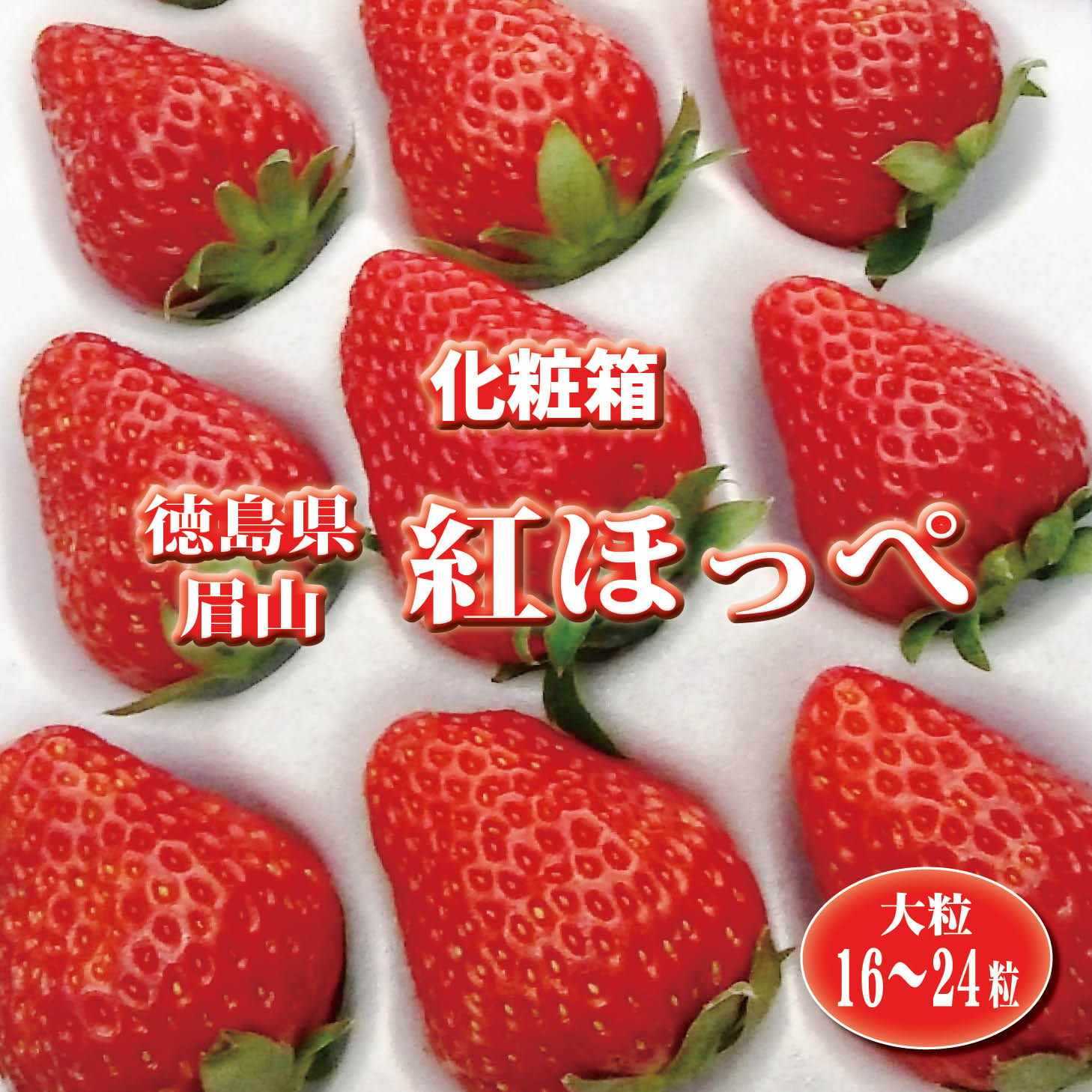 いちご 【送料無料】徳島県眉山産 紅ほっぺ 〈化粧箱〉 1ケース（大粒・16〜24粒）【イチゴ 苺 いちご 贈り物 贈答品 ご褒美 ごほうび プレゼント ギフト 手土産 フルーツ 果物】