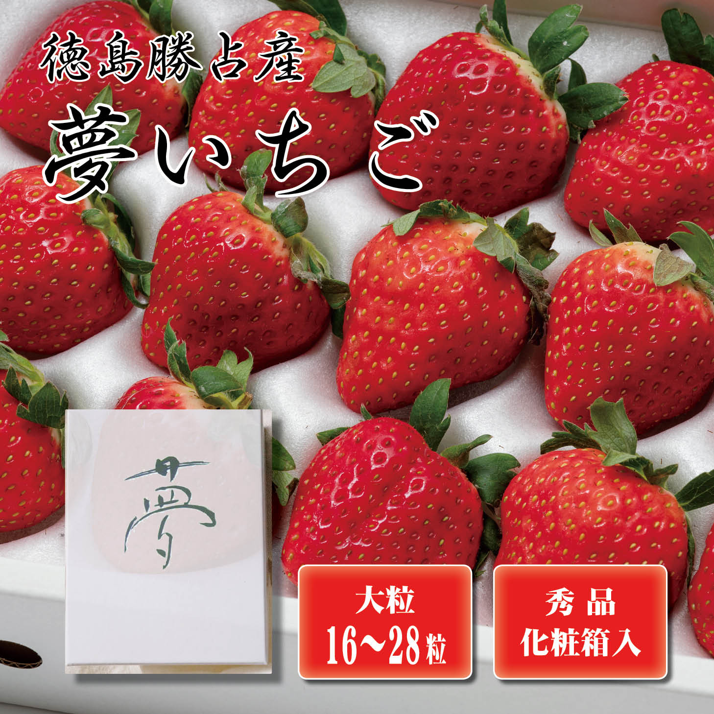 【送料無料】徳島県勝占産 夢いちご 〈化粧箱入〉1ケース（大粒16～28粒）【秀品 イチゴ 苺 いち ...