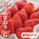 いちご 【送料無料】博多あまおう 等級G（グランデ）1ケース（約270g×2パック入）【イチゴ 苺 福岡県産 いちご 贈り物 贈答品 ご褒美 ごほうび プレゼント ギフト 手土産 フルーツ 果物】