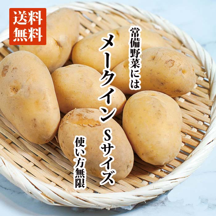 【送料無料】メークイン Sサイズ【国内産 日本産 じゃがいも ジャガイモ じゃが芋 箱売り 常備野菜に まとめ買い 備蓄】 新鮮で美味しい野菜をお届けします！ギフト/野菜ボックス/お取り寄せ/野菜配送旬/新鮮/安心/安全/野菜宅配 2