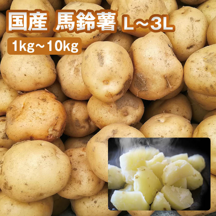 【送料無料】国産 馬鈴薯 L〜3Lサイズ（1kg〜10kg）【じゃがいも ジャガイモ じゃが芋 男爵など 箱売り..