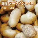 メークイン（L〜3Lサイズ） 約1kg〜10kg