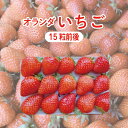 【送料無料】オランダ産 いちご 1パック（15粒前後）【イチゴ フレッシュ 生 ストロベリー ケーキ作り】