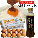 お試しセット＜ブランド鶏卵「龍のたまご」10個・淡路島たまねぎドレッシング380ml＞