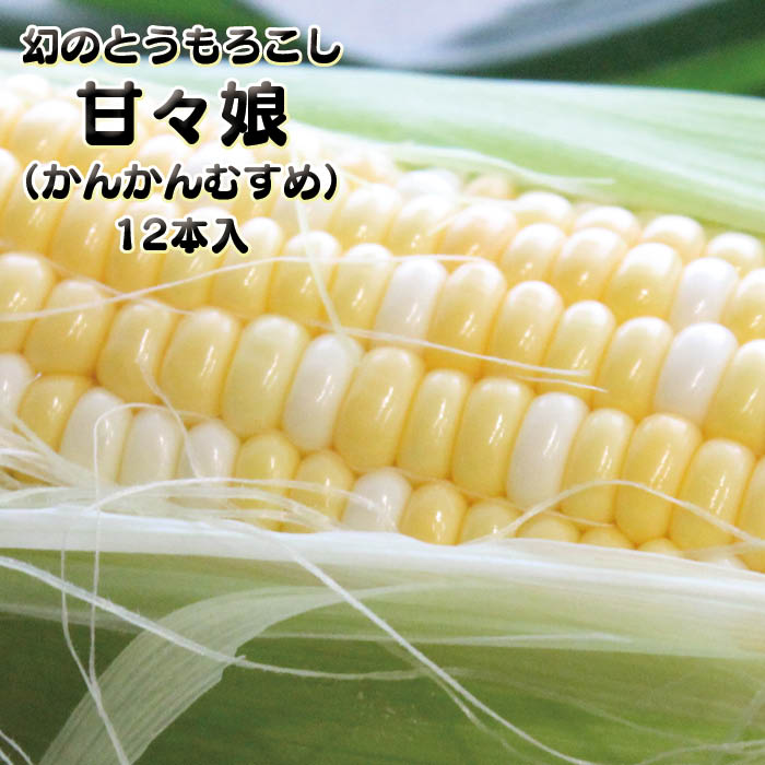 【6月から入荷】甘々娘 1ケース（12〜14本入・約5kg）【かんかんむすめ スイートコーン とうもろこし フルーツコーン ギフト】
