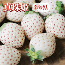 【送料無料】奈良県産 ブランドいちご 真珠姫 1ケース(2パック入)【白いちご イチゴ 苺 奈良いちごラボ お土産 贈り物 贈答品 ご褒美 ごほうび プレゼント...