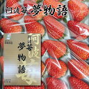 【送料無料】阿波苺 夢物語 〈化粧箱〉 1ケース(16〜28粒)【徳島県産イチゴ 苺 いちご 贈り物 贈答品 ご褒美 ごほうび プレゼント ギフト 手土産 フル...