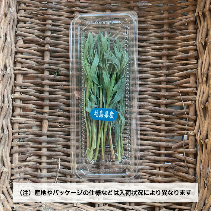 タラゴン 1PAC 【エストラゴン ハーブ　新鮮野菜　珍しい野菜　野菜　やさい　珍しい　変わった野菜　おいしい　インスタ映え　綺麗　彩　あしらい　飾り　アクセント　料理】 2
