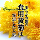 食用菊 1パック (約100g)【 国産 国内産 日本産 あしらい 飾り 彩り お取り寄せ 単品 珍しい インスタ映え おしゃれ お祝い 記念日】