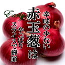 【送料無料】アーリーレッド　10kg　【とにかくみずみずしい/赤玉葱/玉葱/新鮮野菜/珍しい野菜/野菜/やさい/珍しい/変わった野菜/美味しい/インスタ映え/綺麗/彩/あしらい/飾り/アクセント/料理】