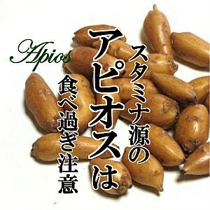 アピオス 1パック（約100〜200g・約10〜20個前後）【青森産 アメリカほど芋 ほどいも アメリカホドイモ いも イモ 珍しい野菜】【100gは2月以降の入荷】