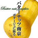 バターナッツ南瓜　1個（800g前後）　ねっとりとした食感と甘みが特徴　ポタージュが◎
