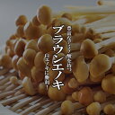 ブラウンエノキ 1パック【茶 エノキ