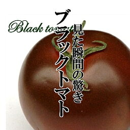 ブラックミニトマト 1PAC（200g）【とてもジューシーで甘味酸味とも強め　旨味もしっかり　新鮮野菜　珍しい野菜　野菜　やさい　珍しい　変わった野菜　おいしい　インスタ映え　綺麗　彩　あしらい　飾り　アクセント　料理】