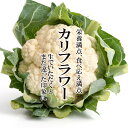 カリフラワー 1個【お取り寄せ 単品 野菜 国産 日本産 国内産 新鮮 美味しい おしゃれ】 新鮮で美味しい！安心・安全の野菜をお届けします。 2