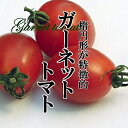 ガーネットトマト 1パック(200g)【ミニトマト 甘い 糖度高い】