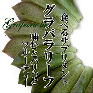 グラパラリーフ 1パック【まさに食べるサプリメント! 噛むとパリッとフルーティー 風車草 みずみずしい めずらしい野菜】 グラパラリーフ 1パック【まさに食べるサプリメント! 噛むとパリッとフルーティー 風車草 みずみずしい めずらしい野菜】