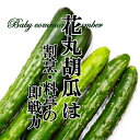 花丸胡瓜 1PAC 新鮮で美味しい！安心・安全の野菜をお届けします。 割烹・料亭の即戦力!やわらかなきゅうり。浅漬けにピッタリ 2