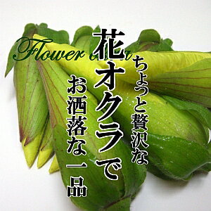 花オクラ 1PAC　【花おくら/旬/旬の野菜/野菜/珍しい野菜/夏野菜/新鮮野菜/珍しい野菜/野菜/やさい/珍しい/変わった野菜/美味しい/インスタ映え/綺麗/彩/あしらい/飾り/アクセント/料理/】】