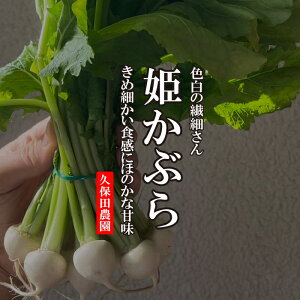 姫かぶら 【久保田農園　姫かぶ　福岡県産　野菜　珍しい野菜】