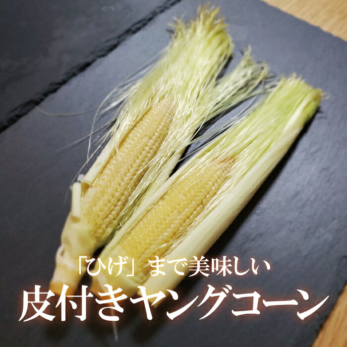thum2