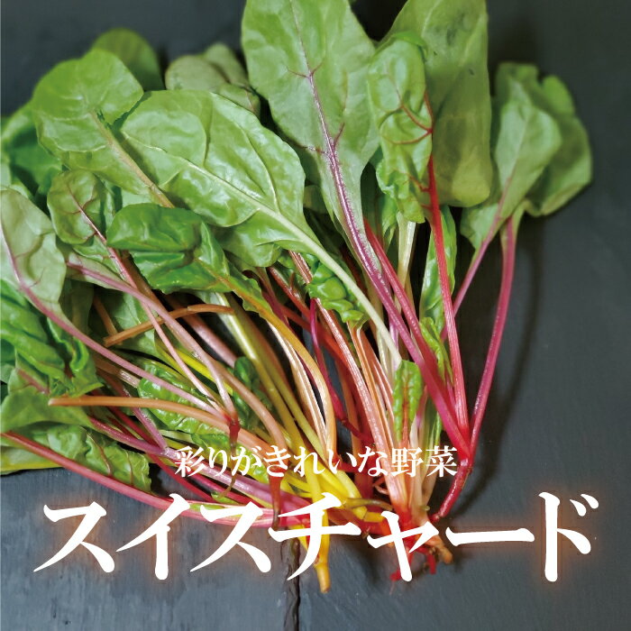 【箱入りセットでお買い得】MONTEBELLO モンテベッロ トマトペースト 785g 【12缶セット】 【 ※ご注文後のキャンセル・返品・交換不可。 】