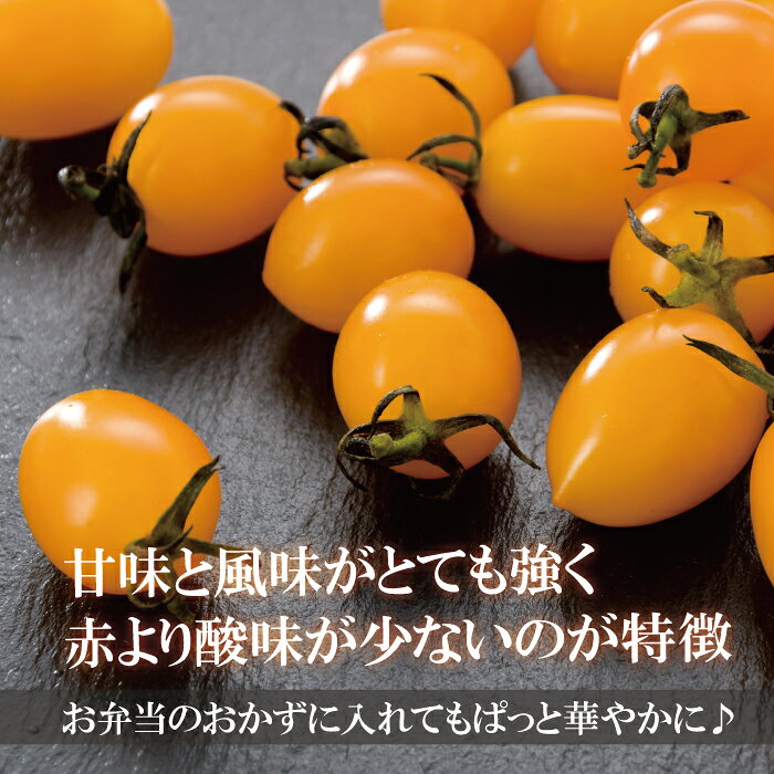 新鮮野菜とフルーツのお店 旬屋のイエローミニトマト 1パック 200g 黄色 カラフル サラダ インスタ映え 彩り｜アングル2