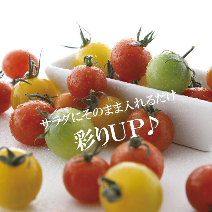 カラフルミニトマト 1パック 200g（＊色の種類は入荷状況によって変わります）【サラダ 彩り 鮮やか インスタ映え ギフト 新鮮野菜 野菜 】