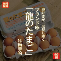 国産ブランド鶏卵 「龍のたまご」 60個 大分県産 （10個入り×6パック ）【送料無料...