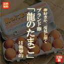 国産ブランド鶏卵 「龍のたまご」 120個 大分県産 (10個入り×12パック )【送料無料 赤玉 赤卵 濃厚 こだわり おいしい 卵 高級 プレゼント ギフト...