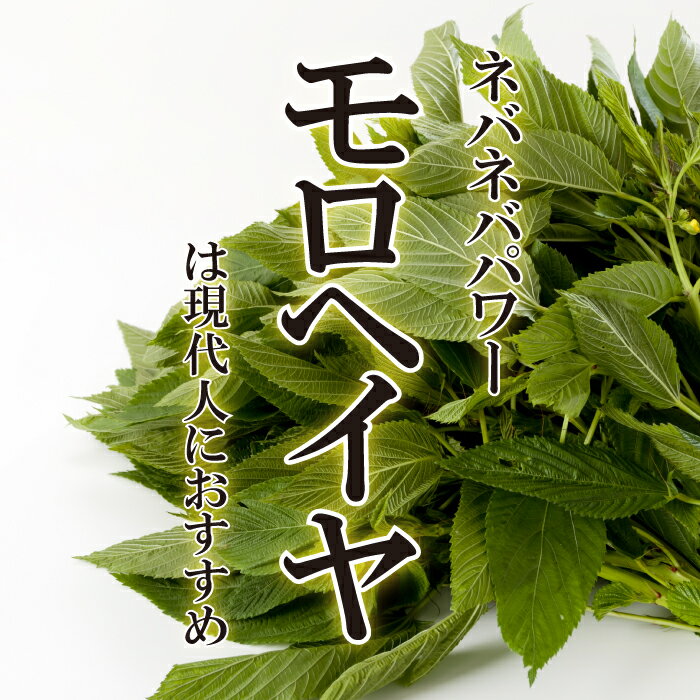 モロヘイヤ 1束【お取り寄せ 単品野菜 国産 日本産 国内産 新鮮 ヘルシー 健康 スムージー 緑黄色野菜 ねばねば ネバネバ 栄養たっぷり 青菜 めずらしい 珍しい野菜】のサムネイル