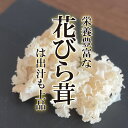 【花びら茸情報】 食感が良く、白いお花のような見映えがとても可愛いので、料理の彩りとしても活用されています。 また、栄養が豊富なため機能性面でも大きく注目されていて、食品としての利用以外にサプリメント等に加工され販売されています。 お花のような見た目からは少し意外ですが、はなびらたけは食感に特徴のあるキノコです。 しっかり加熱してもコリコリした歯ごたえが残り、これが結構病みつきに！ また、旨味があり上品な出汁もとれるため、スープなどにもよく合います。