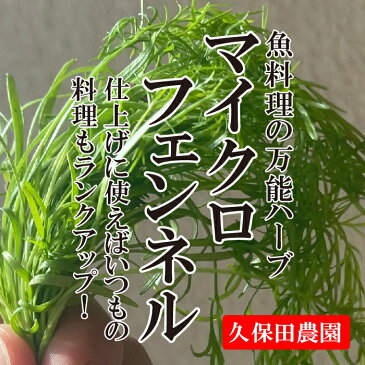 マイクロフェンネル　1PAC　約15g　【久保田農園　福岡産　あしらい　料理　アクセント　野菜　珍しい野菜】