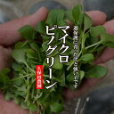 小松菜の葉なので、味を邪魔せず、色々なお料理にお使いいただけます。 可愛い丸い形の葉は、お料理をひきたてます。小松菜の葉なので、味を邪魔せず、色々なお料理にお使いいただけます。 可愛い丸い形の葉は、お料理をひきたてます。