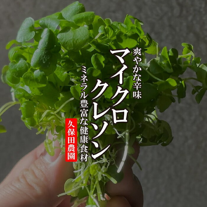 マイクロクレソン　1PAC 【久保田農園　クレソンスプラウト　福岡県産　飾り　あしらい　ハーブ　野菜　珍しい野菜】