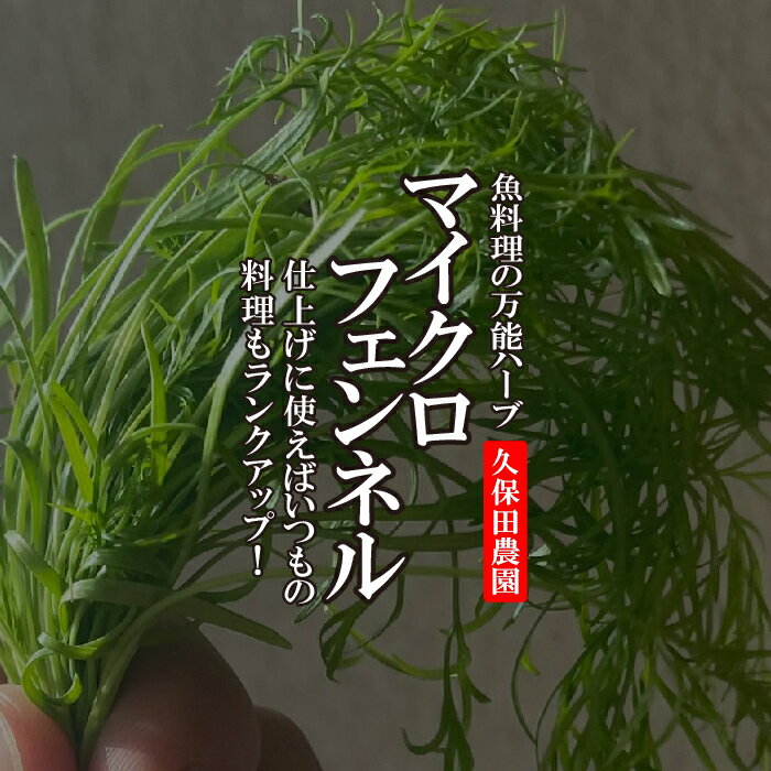 全国お取り寄せグルメ福岡その他の野菜No.18